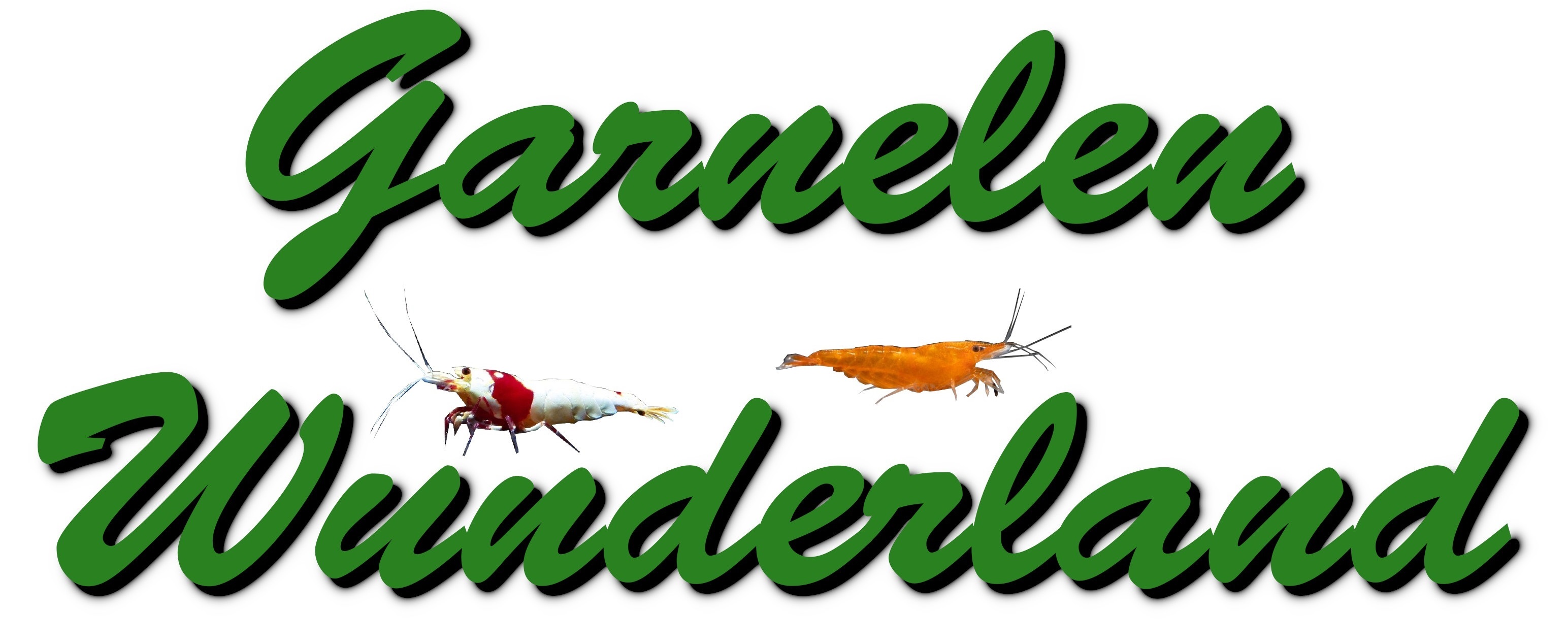 Garnelen Wunderland category icon/image