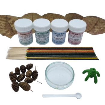 Garnelen-Wellness-Set