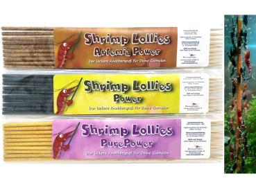 Shrimp-Lollies Power-Set