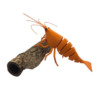 FlexiShrimp (Orange Sakura)