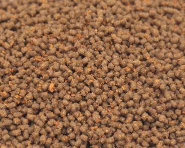 Preview: Bettafeed - Bettafutter - 50ml