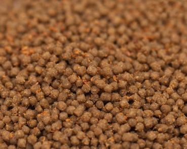 Preview: Chichfeed - Chichlidenfutter - 50ml