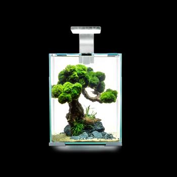 Preview: Shrimp Set Day & Night 10 schwarz