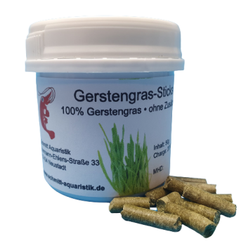 Gerstengras-Sticks