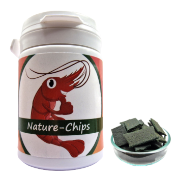 Shrimp-Chips Nature