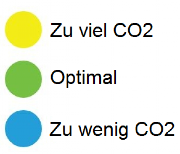 CO2-Starter-Set (groß) mit klassischem Dropchecker