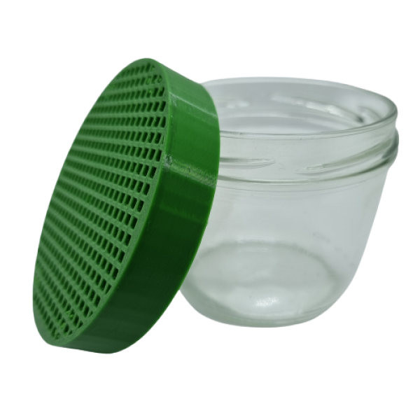 Laichfallen-Set (Glas + Aufsatz grün)