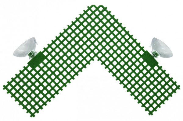 Moosgitter, Moos, Aquascaping, Spiky Moos, Creeping, Javafarn, Java Moos, Bucephelandra, Moosgitter, Gitter, Netz, Moosnetz