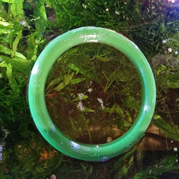 Fishfeeder - freischwimmend