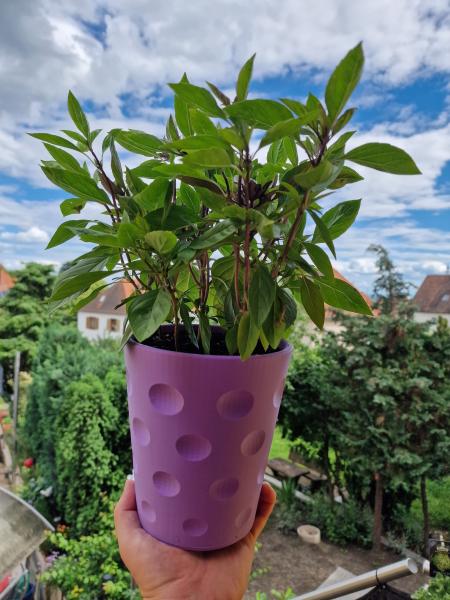 Dubbe-Blumentopf XL (16cm)