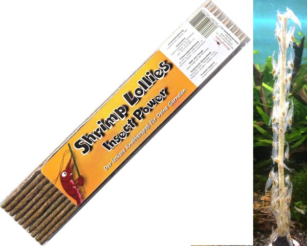 Shrimp-Lollies Catappa