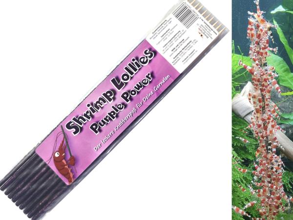 Shrimp-Lollies Winter-Edition