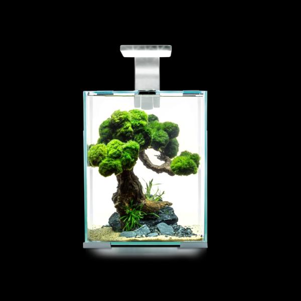 Shrimp Set Day & Night 10 schwarz