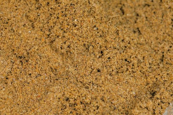 Babyfeed Aufzuchtgarnelenfutter (30g)