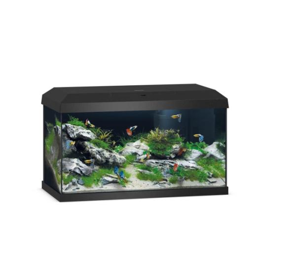 Primo 60 LED 2.0 – Kompakter Einstieg mit System