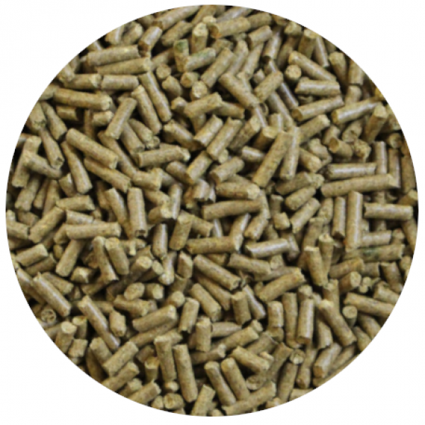 Kamillenblüten-Sticks