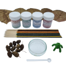 Garnelen-Wellness-Set