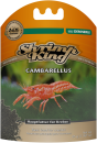 Shrimp King Cambarellus (45g)
